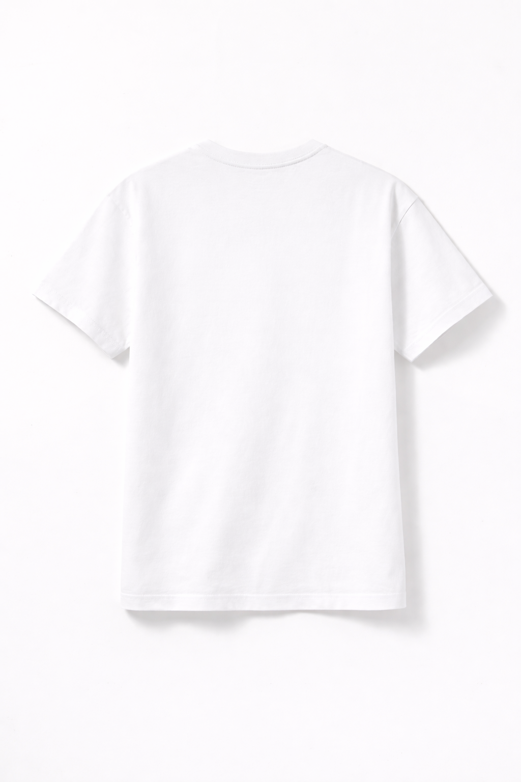 plain white t-shirt without print clothing customisation before PrintyPocket